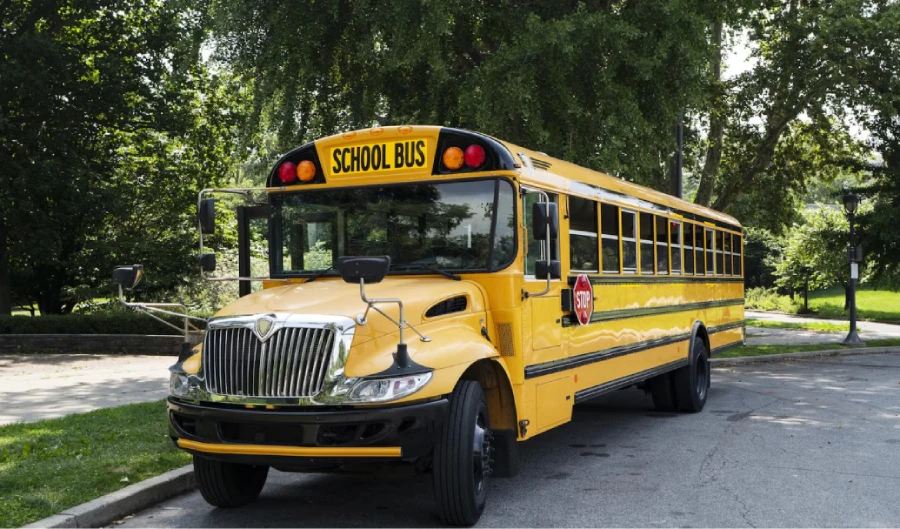 School Bus Transportation img